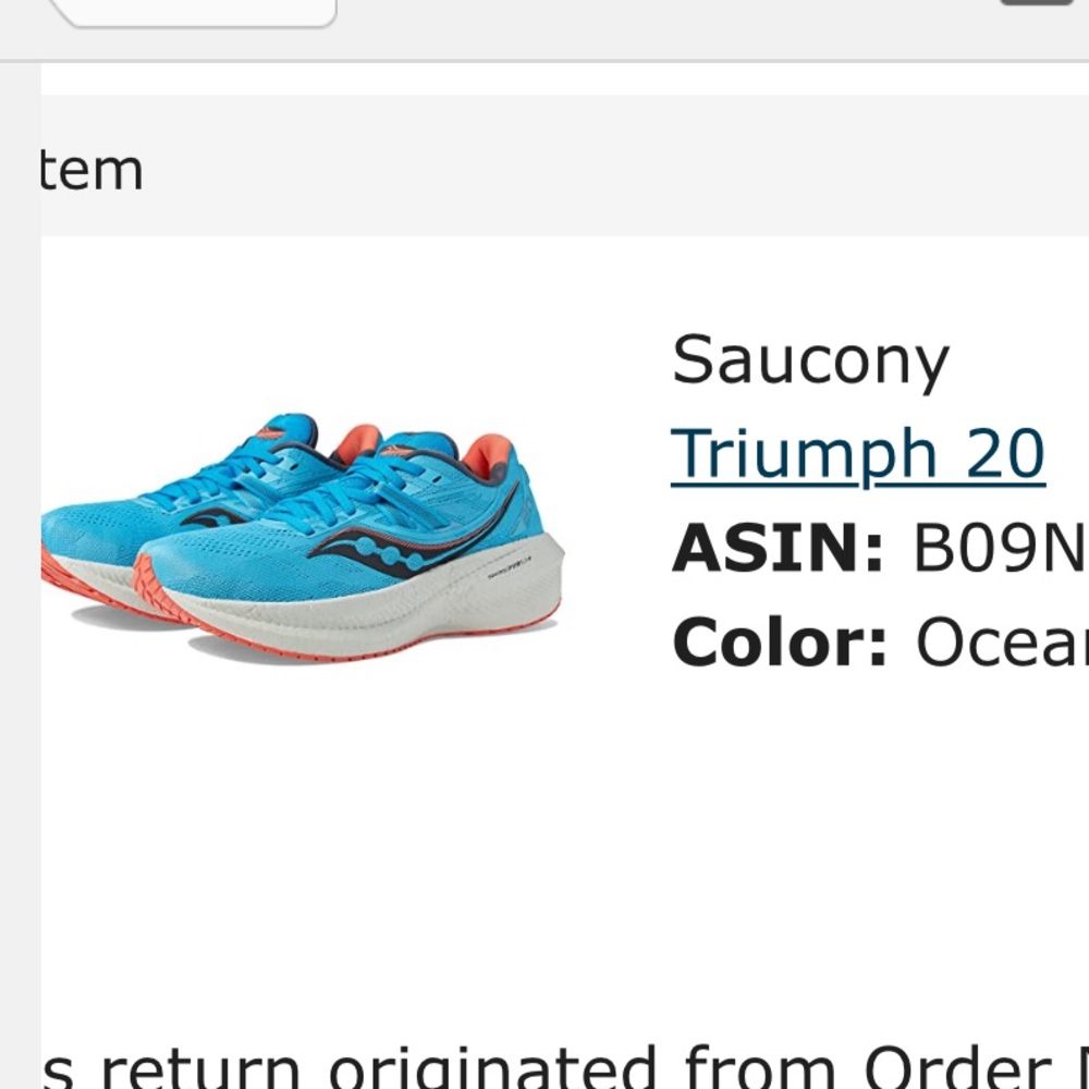 Saucony triumph